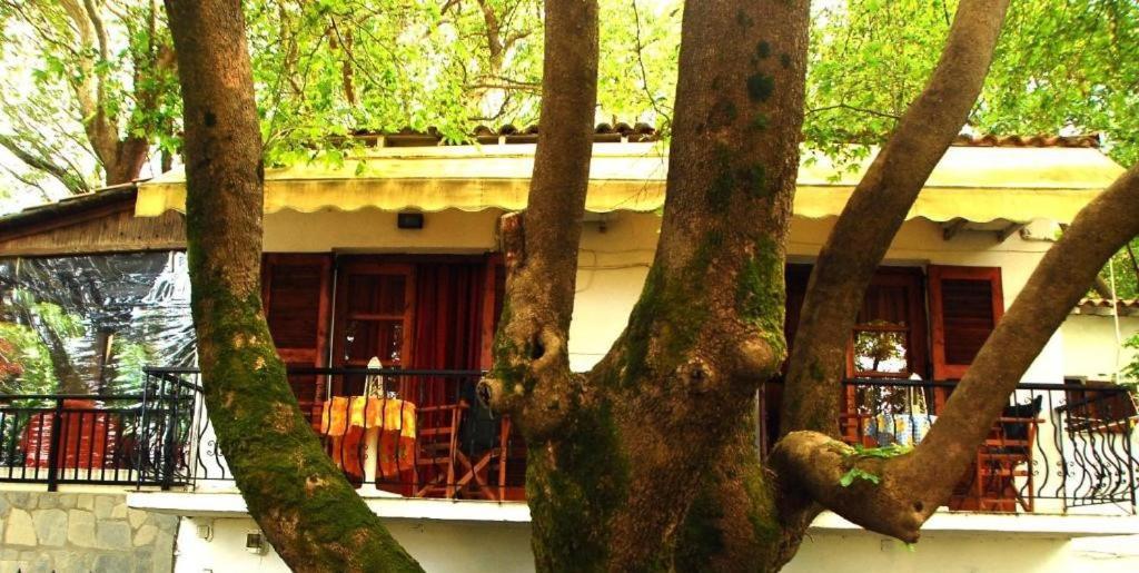 Parselia Rooms Therma  Ngoại thất bức ảnh
